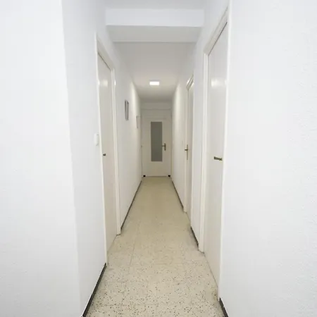 Flecha - Arena Daire